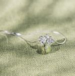 髮晶_花語守護